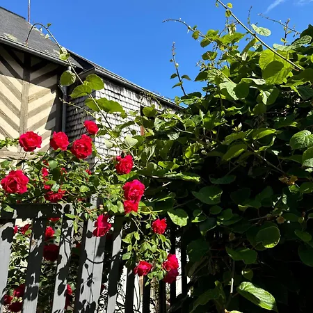 Le Nid Sainte-catherine オンフルール