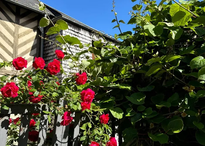 Le Nid Sainte-catherine Honfleur